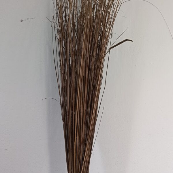 Coconut Leaf Broom 🧹